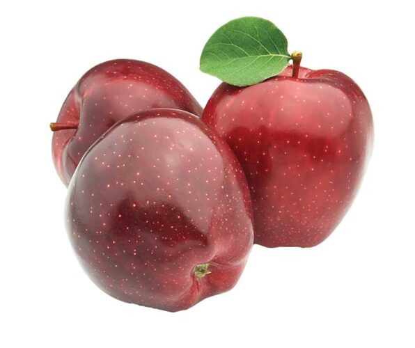 Preserving Heirloom Apples With Seed Savers Exchange